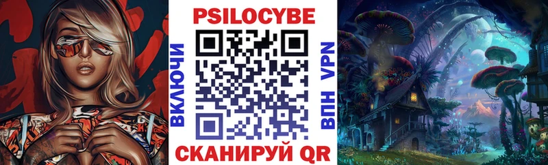 наркотики  Светогорск  Псилоцибиновые грибы ЛСД 